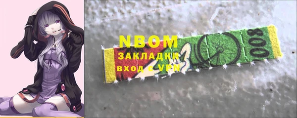 хмурый Няндома