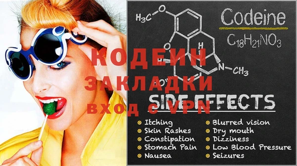 хмурый Няндома