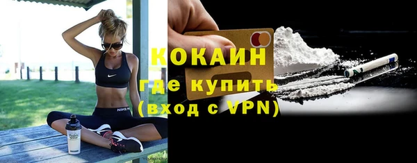 хмурый Няндома