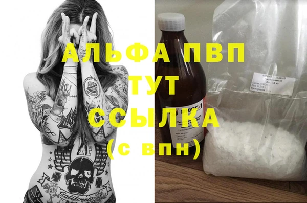 хмурый Няндома