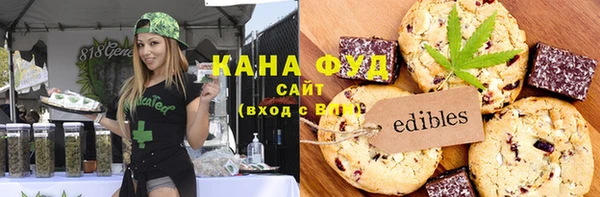 хмурый Няндома
