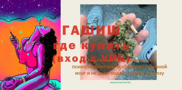 хмурый Няндома