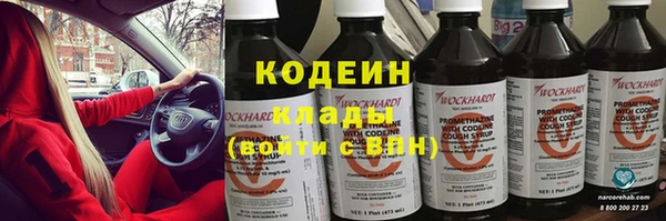 хмурый Няндома