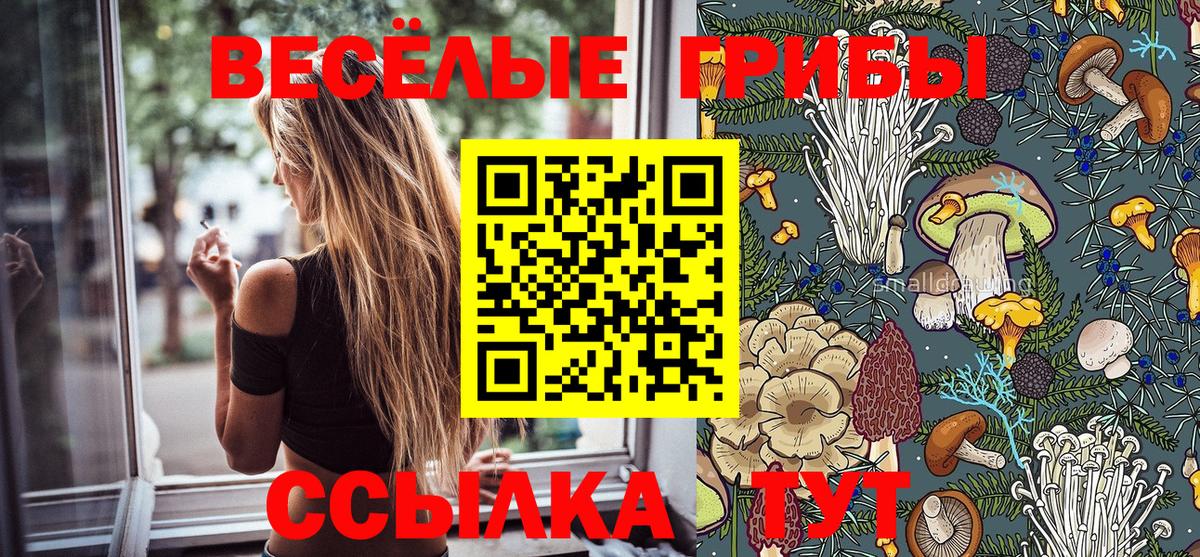 Псилоцибиновые грибы Psilocybe Сибай