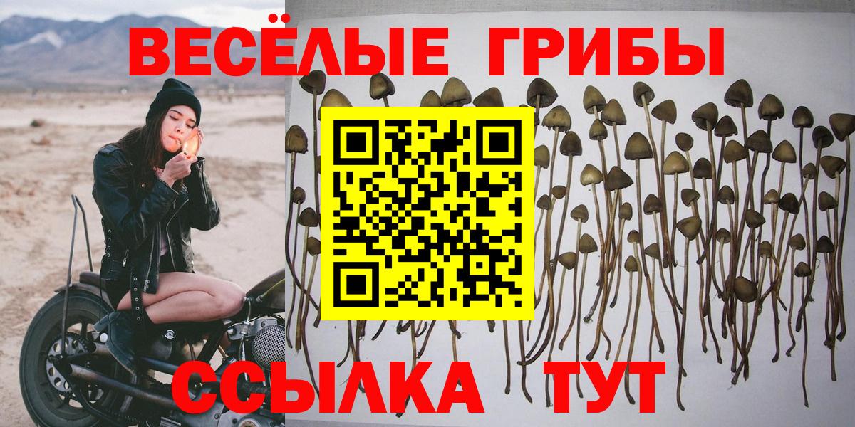 Псилоцибиновые грибы Magic Shrooms Сибай