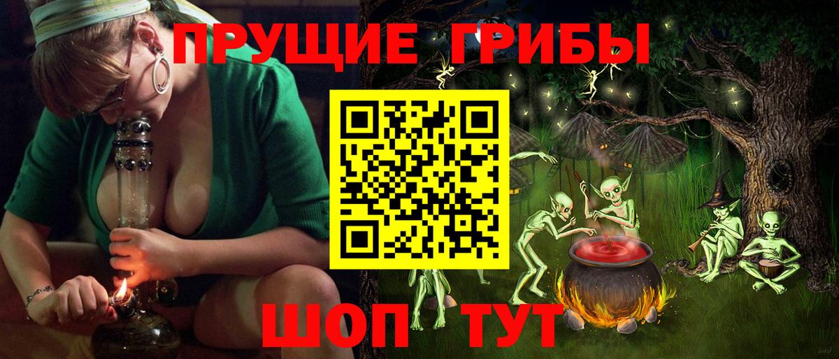 Галлюциногенные грибы GOLDEN TEACHER  Псилоцибиновые грибы MAGIC MUSHROOMS  Сибай  Вход с VPN 